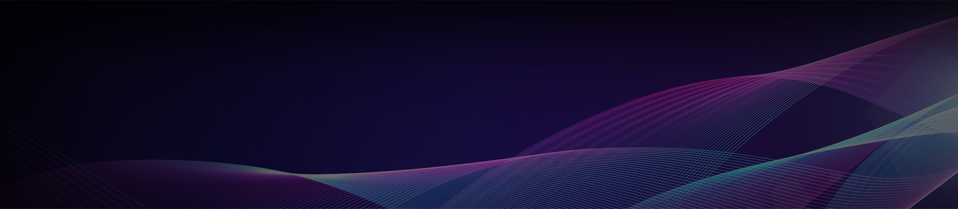 石家莊網(wǎng)絡(luò)公司