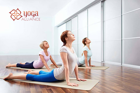 全美瑜伽聯(lián)盟微信公眾號(hào)網(wǎng)絡(luò)課堂開(kāi)發(fā)