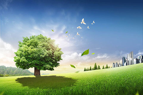 千瑞機(jī)械企業(yè)網(wǎng)站建設(shè)